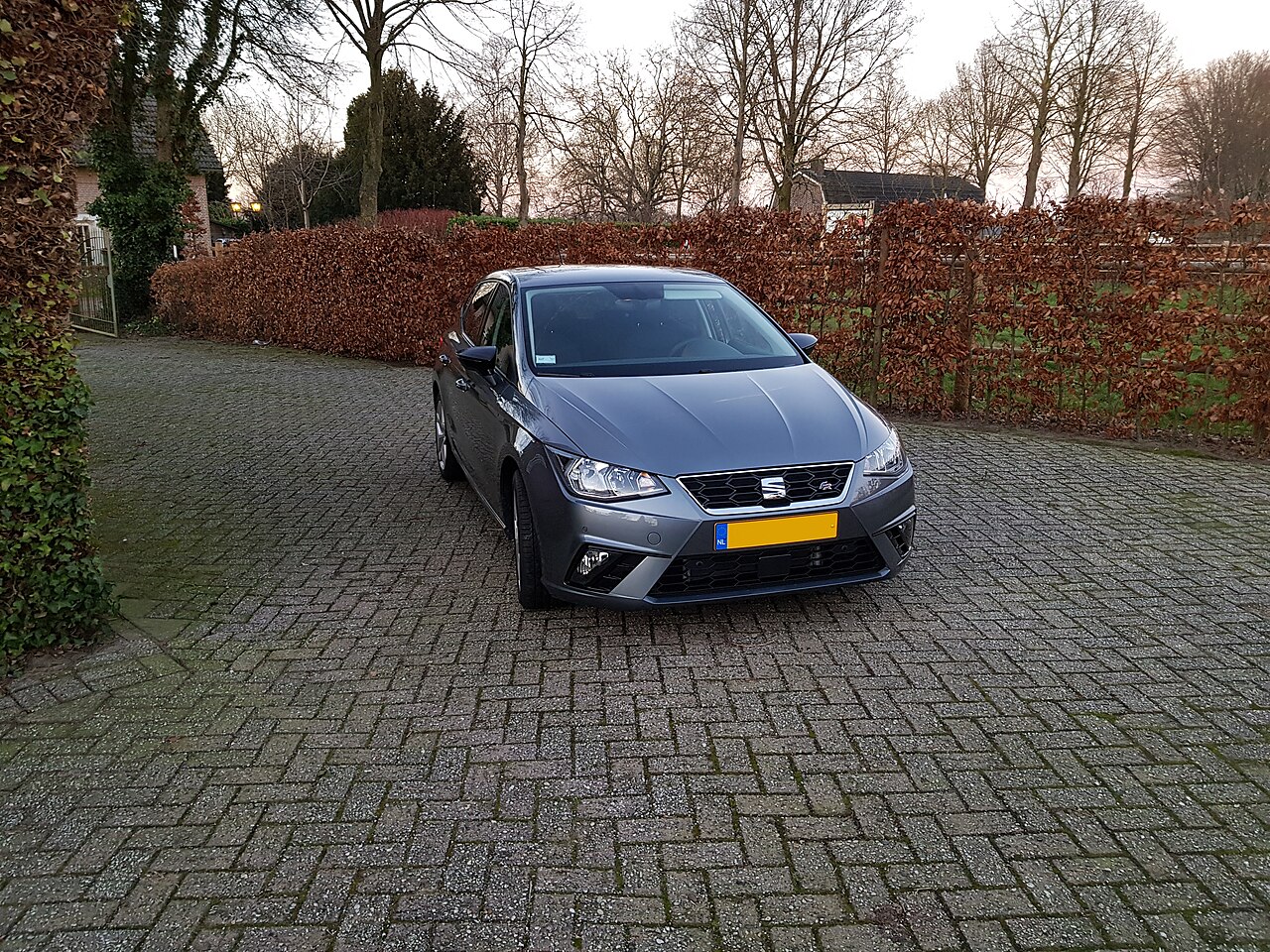 Seat Ibiza Style
